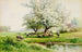 Landelijk landschap - Carl Weber — weergave van het kunstwerk