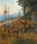 Au pack - Carl Zimmermann — weergave van het kunstwerk