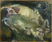 De varkens - Chaïm Soutine — weergave van het kunstwerk