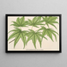 Acer palmatum reticulatum - Charles Antoine Lemaire — ingelijst kunstwerk aan de muur