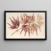 Acer polymorphum palmatum - Charles Antoine Lemaire — ingelijst kunstwerk aan de muur