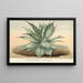 Agave Verschaffelti - Charles Antoine Lemaire — ingelijst kunstwerk aan de muur