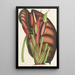 Alocasia metallica - Charles Antoine Lemaire — ingelijst kunstwerk aan de muur