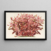 Alternanthera spathulata - Charles Antoine Lemaire — ingelijst kunstwerk aan de muur