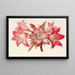 Amaryllis Belladonna - Charles Antoine Lemaire — ingelijst kunstwerk aan de muur