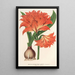 Amaryllis Hippeastrum Alberti - Charles Antoine Lemaire — ingelijst kunstwerk aan de muur