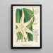 Reproductie van het schilderij Angraecum sesquipedale - Charles Antoine Lemaire