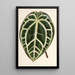 Reproductie van het schilderij Anthurium crystallinum - Charles Antoine Lemaire