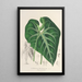 Anthurium leuconeurum - Charles Antoine Lemaire — ingelijst kunstwerk aan de muur