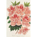 Azalea indica - Charles Antoine Lemaire — weergave van het kunstwerk
