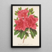 Azalea indica hybrida Madame Wagner - Charles Antoine Lemaire — ingelijst kunstwerk aan de muur