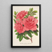 Azalea indica hybrida William Bull - Charles Antoine Lemaire — ingelijst kunstwerk aan de muur