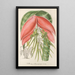 Reproductie van het schilderij Billbergia Baraquiniana - Charles Antoine Lemaire