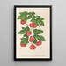 Reproductie van het schilderij Bryonopsis laciniata var erythrocarpa - Charles Antoine Lemaire