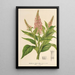 Buddleia curviflora - Charles Antoine Lemaire | Schilderij — ingelijst kunstwerk aan de muur