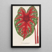 Reproductie van het schilderij Caladium Duc Adolphe de Nassau - Charles Antoine Lemaire