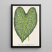Caladium mirabile - Charles Antoine Lemaire — ingelijst kunstwerk aan de muur