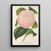 Reproductie van het schilderij Camellia Archiduc Étienne - Charles Antoine Lemaire
