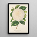 Camellia Dionisia Poniatowski - Charles Antoine Lemaire — ingelijst kunstwerk aan de muur