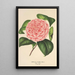 Camellia Elvina Delli - Charles Antoine Lemaire — ingelijst kunstwerk aan de muur