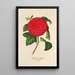 Reproductie van het schilderij Camellia Il Giogello - Charles Antoine Lemaire