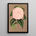 Reproductie van het schilderij Camellia Mistress Dombrain - Charles Antoine Lemaire