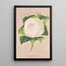 Reproductie van het schilderij Camellia alba ornatissima - Charles Antoine Lemaire