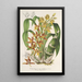 Reproductie van het schilderij Catasetum trimerochilum - Charles Antoine Lemaire