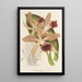 Reproductie van het schilderij Koelei elegans Ch. Morren - Charles Antoine Lemaire