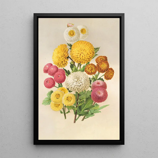 Charles Antoine Lemaire - Chrysanthmes dautomne.webp