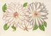 Clematis patens - Charles Antoine Lemaire — weergave van het kunstwerk
