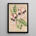 Clianthus Dampieri met witte bloemen en rode rand - Charles Antoine Lemaire — ingelijst kunstwerk aan de muur