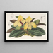 Cypripedium concolor - Charles Antoine Lemaire — ingelijst kunstwerk aan de muur