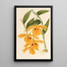 Dendrobium chrysotis - Charles Antoine Lemaire — ingelijst kunstwerk aan de muur