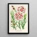 Reproductie van het schilderij Dianthus Verschaffeltii - Charles Antoine Lemaire