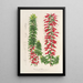 Reproductie van het schilderij Epacris multiflora - Charles Antoine Lemaire