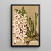 Reproductie van het schilderij Epidendrum conspicuum - Charles Antoine Lemaire