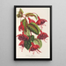 Fuchsia Solferino - Charles Antoine Lemaire — ingelijst kunstwerk aan de muur