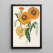 Gazania splendens hybride - Charles Antoine Lemaire — ingelijst kunstwerk aan de muur