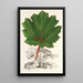 Reproductie van het schilderij Gunnera brephogea - Charles Antoine Lemaire