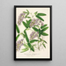 Hardenbergia Makoyana hybrida - Charles Antoine Lemaire — ingelijst kunstwerk aan de muur