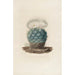Reproductie van het schilderij Iconografie beschrijvend van de cactussen Pl02 - Charles Antoine Lemaire