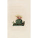 Reproductie van het schilderij Iconographie descriptive des cactées Pl05 - Charles Antoine Lemaire | Reproduction