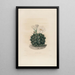 Iconografie beschrijvend van de cactussen Pl06 - Charles Antoine Lemaire — ingelijst kunstwerk aan de muur