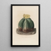 Reproductie van het schilderij Iconografie beschrijvend van de cactussen Pl07 - Charles Antoine Lemaire