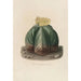 Reproductie van het schilderij Iconografie beschrijvend van de cactussen Pl07 - Charles Antoine Lemaire