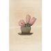 Iconografie beschrijvend van de cactussen Pl08 - Charles Antoine Lemaire — weergave van het kunstwerk