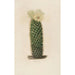 Reproductie van het schilderij Iconografie beschrijvend van de cactussen Pl13 - Charles Antoine Lemaire