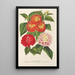 Keuze van lantana's - Charles Antoine Lemaire — ingelijst kunstwerk aan de muur
