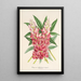 Reproductie van het schilderij Lupinus insignis hybridus - Charles Antoine Lemaire